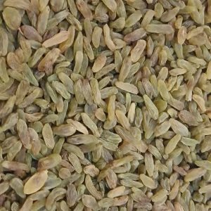 کشمش سبز قلمی